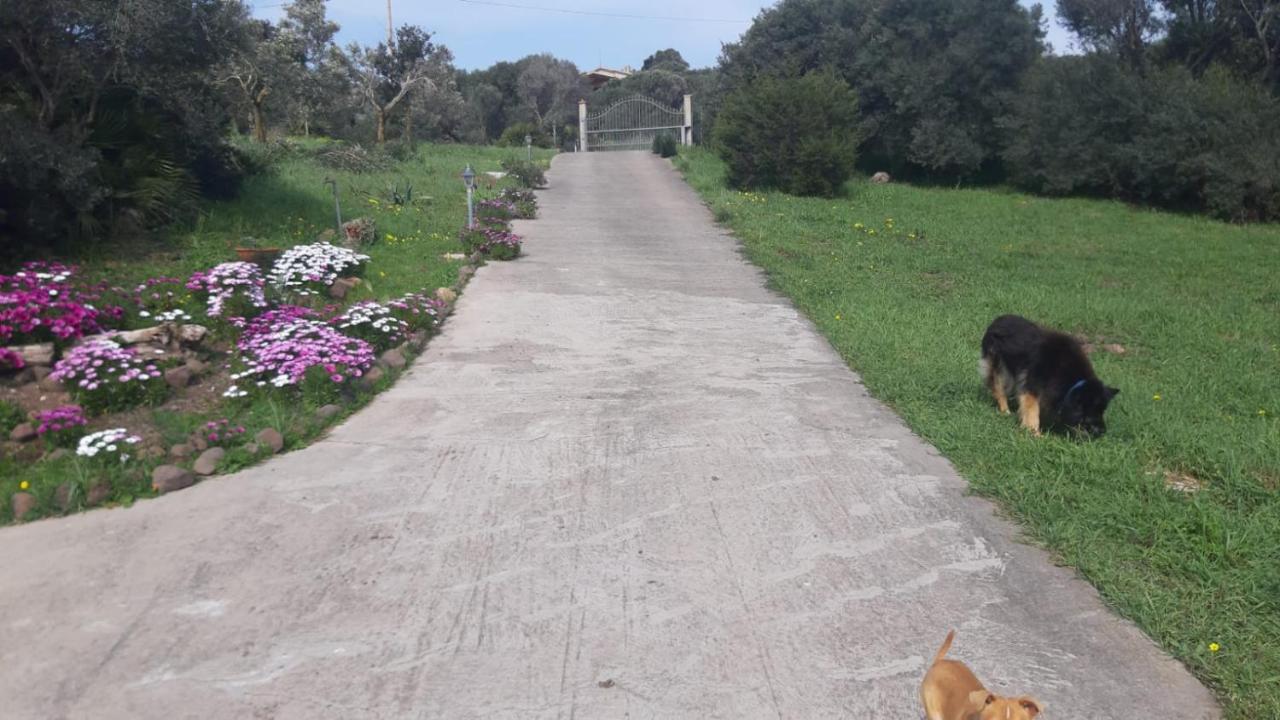 La_Casa_Di_ Willy Villa Canai Bagian luar foto